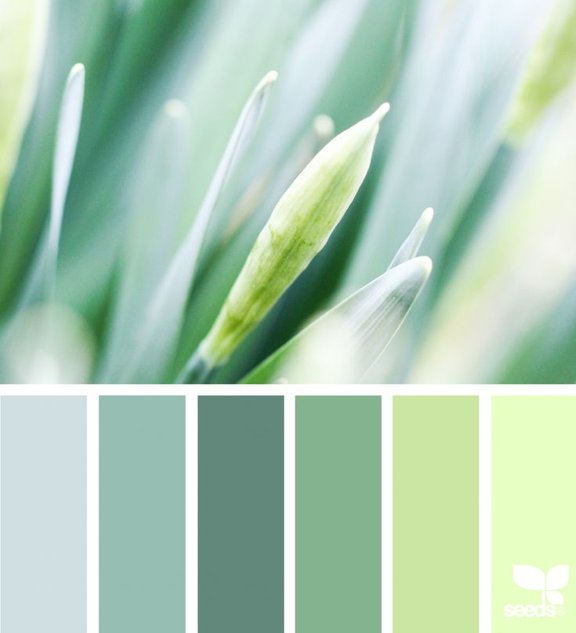 color.nature.seeds.jpg 