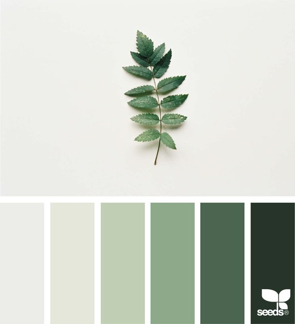 1_15_NatureTones_theflowercult_kyla.jpg 