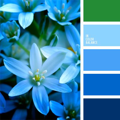 color.romanuke.jpg 